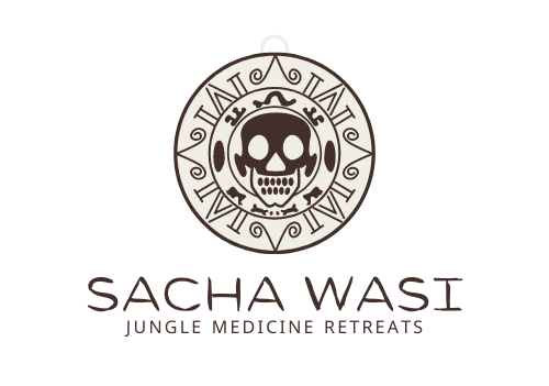 Sacha Wasi